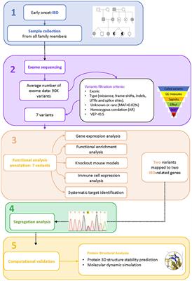 Exome Sequencing Identifies the Extremely Rare ITGAV and FN1 Variants in Early Onset Inflammatory Bowel Disease Patients